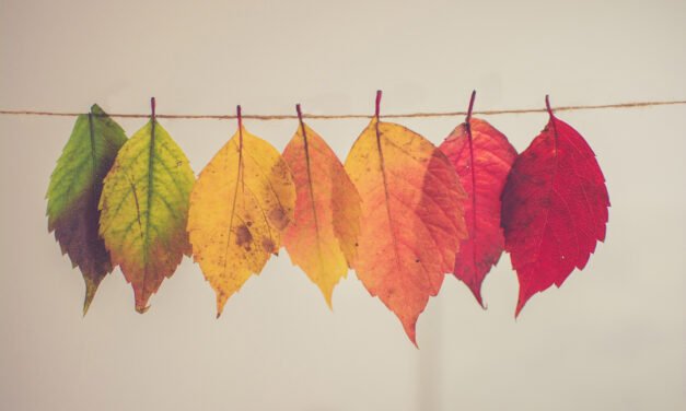 An Actual, Easy Method For One To Throw Away And Empty The Mind